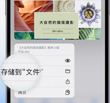 安福apple维修中心分享iPhone文件应用中存储和找到下载文件