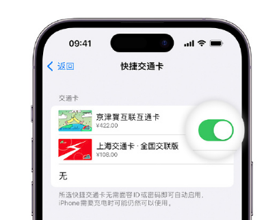 安福apple维修点分享iPhone上更换Apple Pay快捷交通卡手绘卡面 