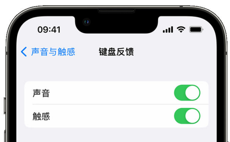 安福苹果手机维修分享iPhone 14触感键盘使用方法 