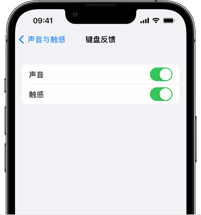 安福苹果14维修店分享如何在 iPhone 14 机型中使用触感键盘 