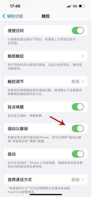 安福苹果手机维修分享iPhone手机如何设置摇一摇删除文字 